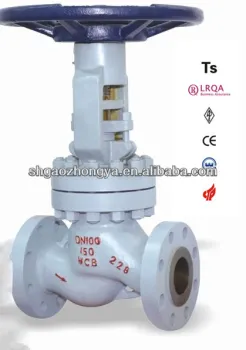 "Class 300 "globe valve for chemical industry