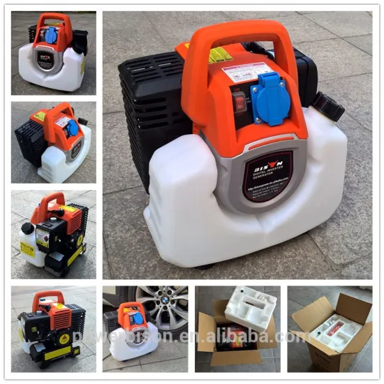 BISON(CHINA) small ac Generator inverter popular design 1kw power generator