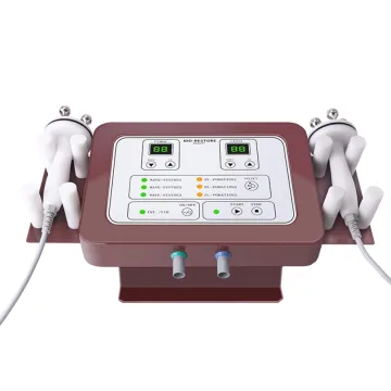 Professional Japanese Electroporation Beauty Instrument with Micro Current