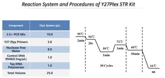 Y27 Plex Str Detection Kit