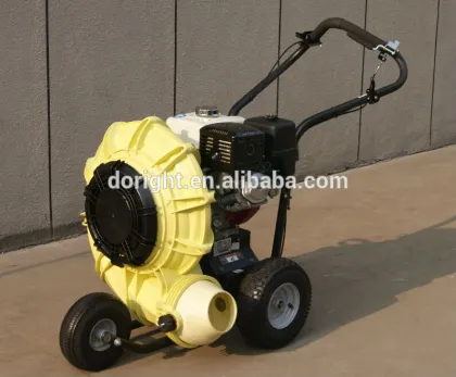 Garden gasoline leaf blower & Petrol blowers