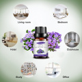 Minyak Esensial Violet Harga Terbaik Untuk Aroma Diffuser