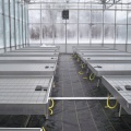 Bench Bench Tidal Seedbed Greenhouse