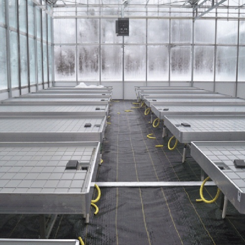 Greenhouse Tidal Seedbed Seed Bench