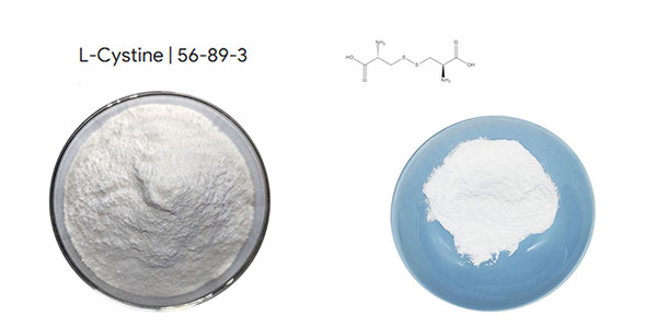L-Cystine API Powder