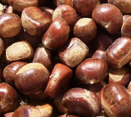 Peeled Chestnut Wholesale Healthy Nuts Snacks
