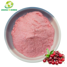 Organic Tart Cherry Powder