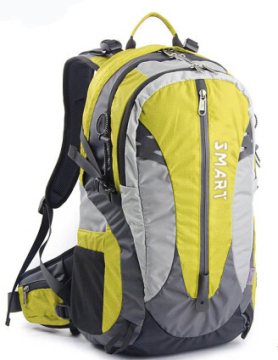 2014 New Designed Fashion Laptop Bag Backpack (SB6782C)