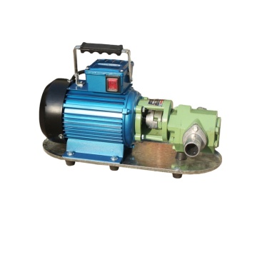 Portable High-Pressure Cast Iron WCB Gear Pump for Water Machines, 12V/24V AC Motor
