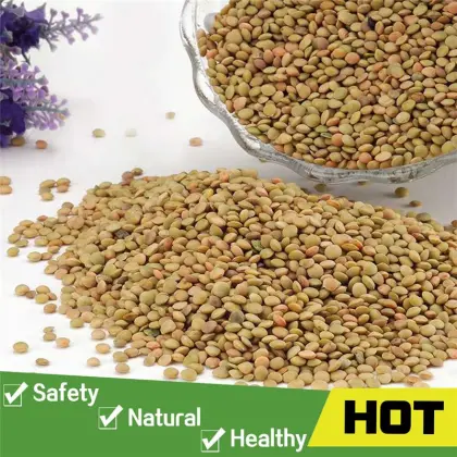 Green dried bulk lentils
