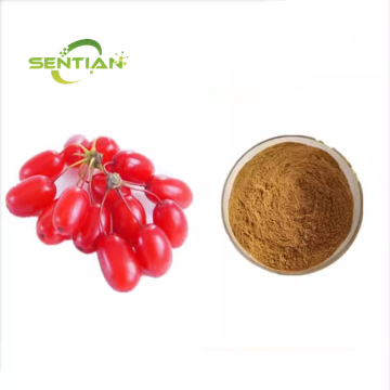Dogwood Extract Powder for Male