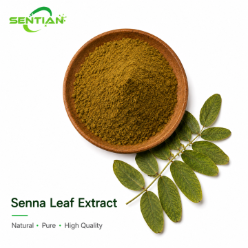 Premium Senna Extract for Natural Laxative Formulations