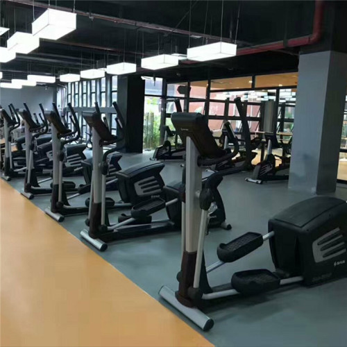 PVC Multipurpose Flooring Gym Floor