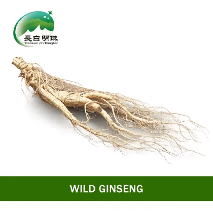 Fine Selected High Grade Ginseng