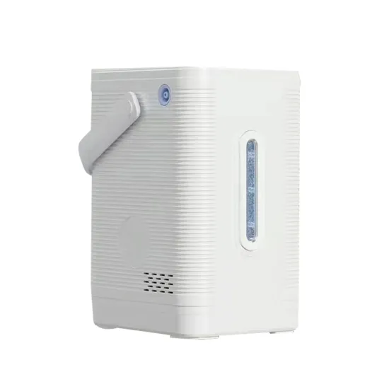 Hydrogen and Oxygen PEM Water Electrolysis Ionizer: Generating 200ml/min of Hydrogen and 100ml/min of Oxygen for Inhalation