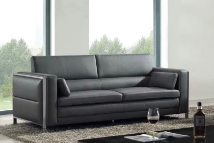 Leather Sofa Double Match