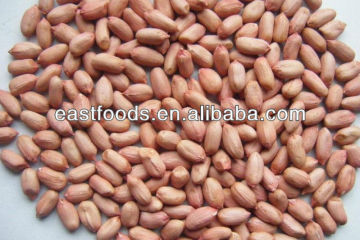 Groundnut Kernel 24/28 with competitive price