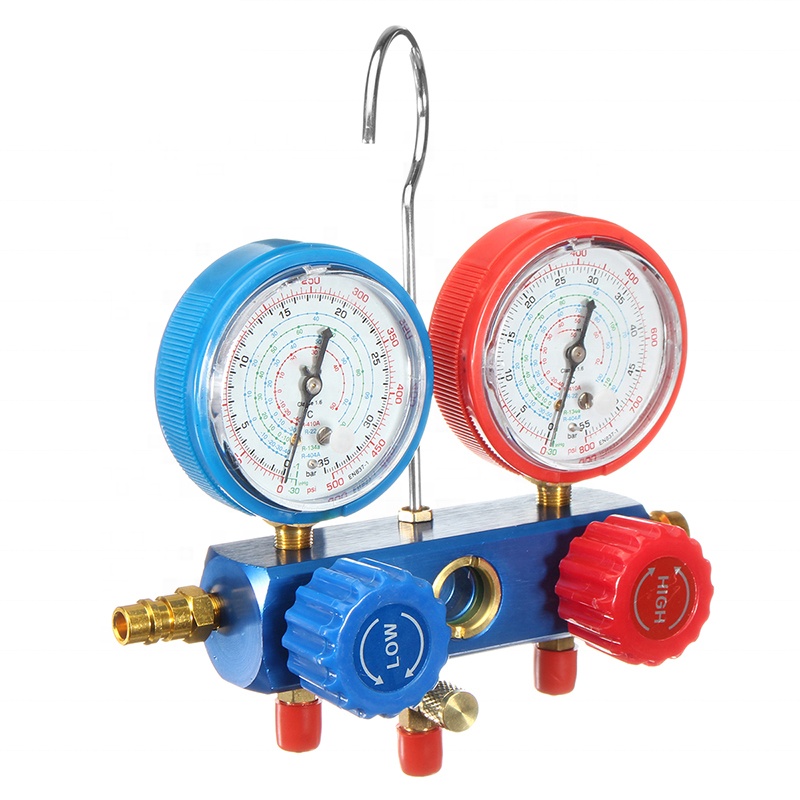 IC008-0219 manifold digital pressure gauge