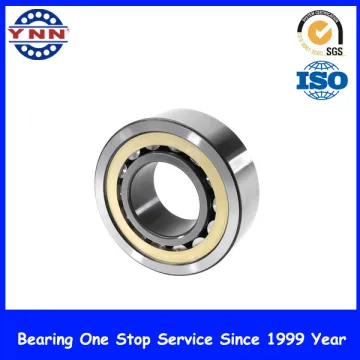 Cylindrical Roller Bearing (Combined Radial Axial Bearings) (Full Series)