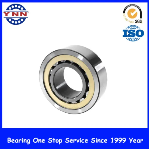 Cylindrical Roller Bearing Radial Axial Bearings) (full
