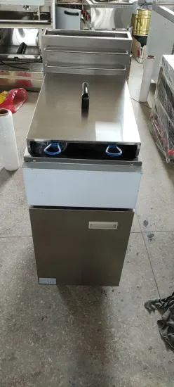 Canton Fair Hot Sale Commercial Standing Gas Deep Fryer with 2 Burner