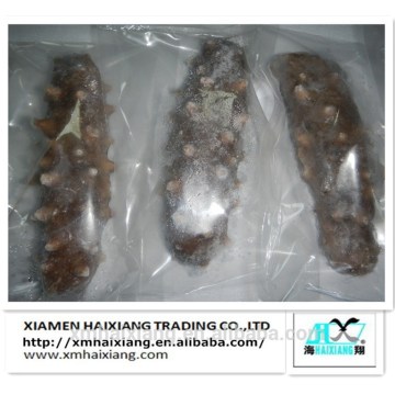 Price of dried fresh sea cucumber