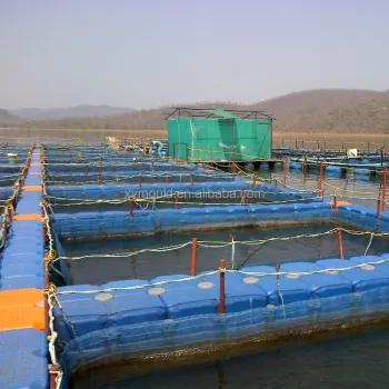 Floating Pontoon for Fish Cage Search Engine