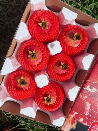 Recommended Xiguo Pomegranates DL Seasonal Delight