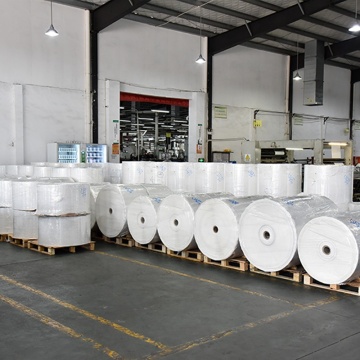 PP Film Self Adhesive Label Jumbo Roll