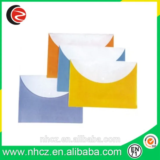 Two Layers Transparent File Bag