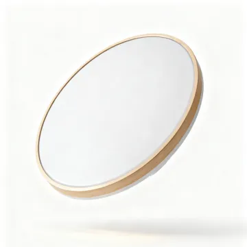 Modern Indoor LED Ceiling Lamp