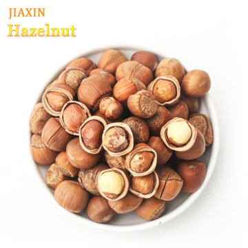 Chinese Hazelnut for Export Premium Selected Filbert Nut