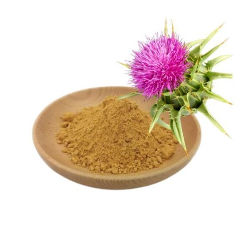 Milk Thistle Extract Silymarin