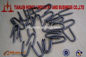 U Type Nails,E.G. or Hot dipped,factory hot sale