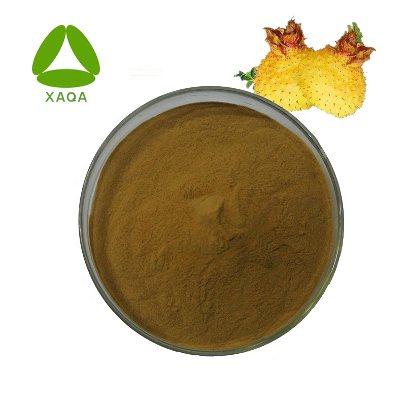 Rosa Roxburghii Extract Powder Water oplosbaar