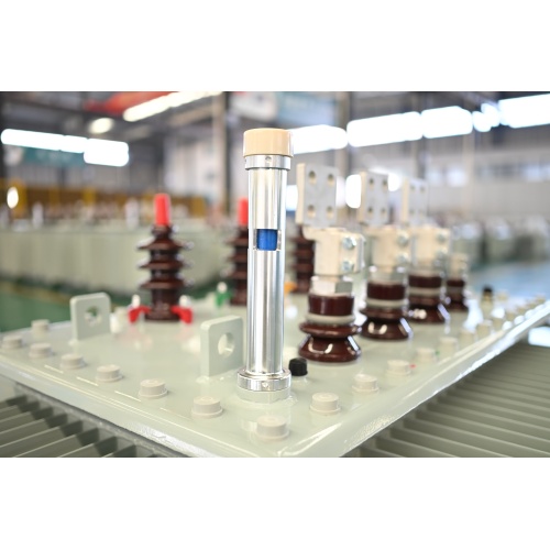 S22-M-1600 Transformer di potenza immerso nell'olio da olio da 10kV