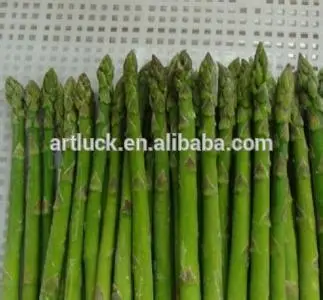 Fresh asparagus