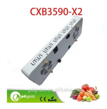 netherlands COB CXB3590 led grow light with lens Greenhouse Lettuce Agricultural