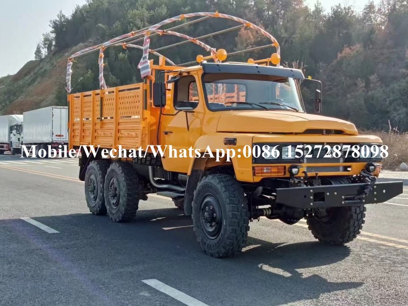 Desert Off Road 4x4 6x6 Military Army Truck (9)
