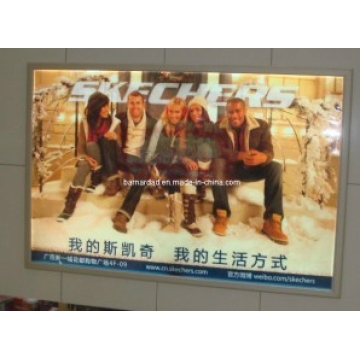 Publize LED Light Box
