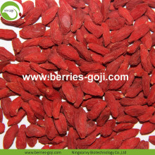 Gros Super Food Améliorer la vue Zhongning Goji baies