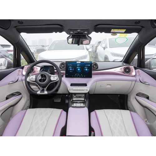 2025 BYD Dolphin 520 km Knight Edition