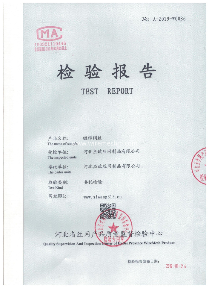 Test Report (1)