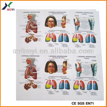 kids embossed medical poster