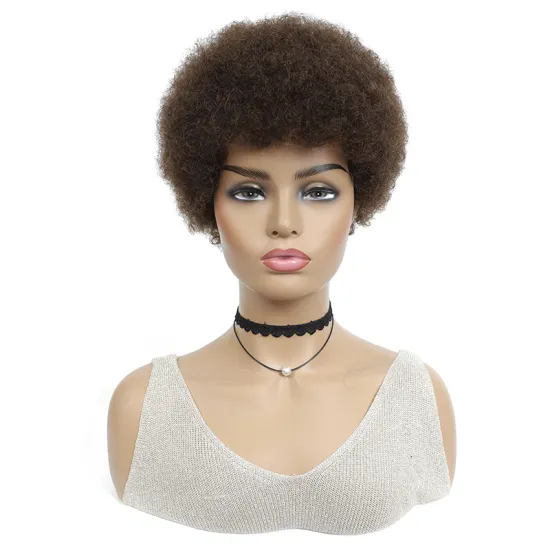 X-TRESS Short Afro Kinky Human Hair Wigs 100% Human Hair Wigs For American Africa Black Women Brazilian Remy Full Machine Wigs