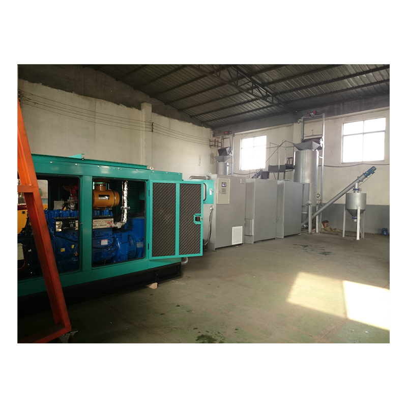 biomass gas electric generator