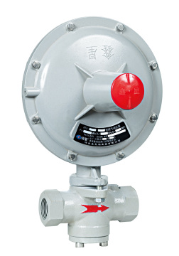 RTZ-K Gas Pressure Regulator