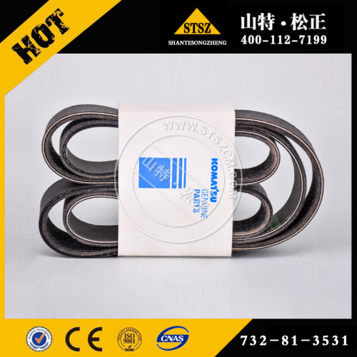 V-RIEM 732-81-3531