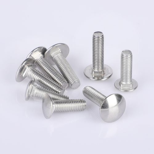 Çeşitli paslanmaz çelik taşıma cıvataları