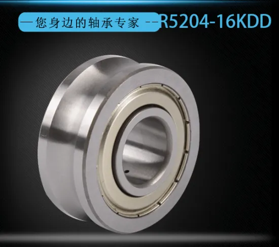 Double Row Angular Contact Ball Bearing